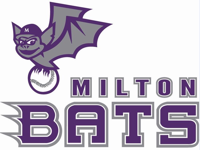 Milton Bats U15 Grey